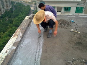 韶關(guān)市樂昌市穗興清洗外墻與防水補漏工程公司及南京防水工程服務(wù)綜述